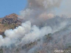 Hampir 24 Jam, Kebakaran Hutan di Wonogiri Belum Berhasil Dipadamkan