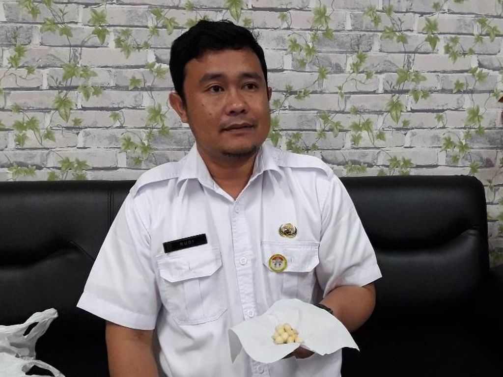 Ini Hasil Lab Muntahan Siswa Bekasi yang Diduga Keracunan Kacang Ini Hasil Lab Muntahan Siswa Bekasi yang Diduga Keracunan Kacang