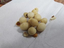 Diselidiki Polisi, Ini Kacang yang Bikin Siswa Bekasi Keracunan