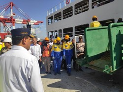Menhub Pastikan Kapal Ternak di Pelabuhan Tenau Kupang Berjalan Baik