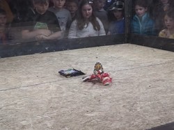 Kisah YouTube yang Sempat Keliru Copot Video Adu Robot