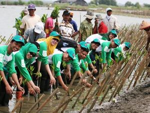 Lestarikan Lingkungan, PHE ONWJ Tanam Bibit Mangrove di Karawang