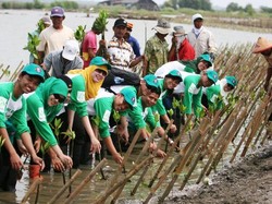 Lestarikan Lingkungan, PHE ONWJ Tanam Bibit Mangrove di Karawang