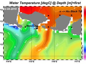 Ini Rute Hiu Blacktip Menuju Nusa Dua, Bali Ini Rute Hiu Blacktip Menuju Nusa Dua, Bali