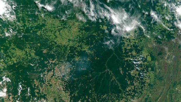 NASA Rekam Penampakan Kebakaran Hutan Amazon