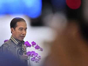 Jokowi Surati DPR dan Siapkan UU soal Pemindahan Ibu Kota ke Kaltim Jokowi Surati DPR dan Siapkan UU soal Pemindahan Ibu Kota ke Kaltim