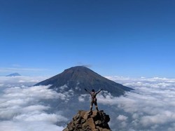 Cuma Modal Dengkul, Bisa Nikmati Lautan Awan Gunung Sindoro