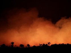 Kebakaran Masif Hutan Amazon Bahayakan Bumi