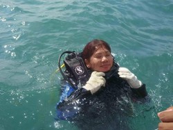 NDRF: Gerombolan Hiu di Nusa Dua Jenis Blacktip, Tak Berbahaya