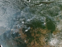 Begini Kebakaran Hutan Amazon Dilihat dari Satelit NASA