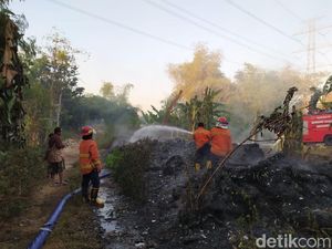 Hingga Agustus 2019, 42 Kebakaran di Mojokerto Hanguskan Rumah dan Hutan