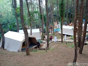 Lestarikan Sumber Air, Borobudur Highland Ditanami 400 Pohon Lestarikan Sumber Air, Borobudur Highland Ditanami 400 Pohon
