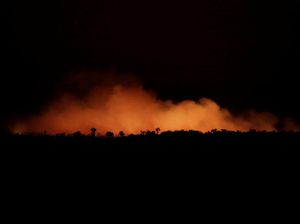 Penampakan Nyala Api Kebakaran Hutan Amazon di Malam Hari