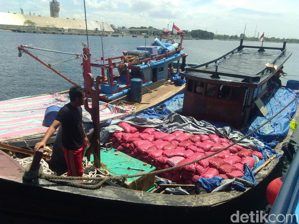 2 Kapal Penyelundup Bawang Ditangkap di Aceh, 8 ABK Diamankan 2 Kapal Penyelundup Bawang Ditangkap di Aceh, 8 ABK Diamankan