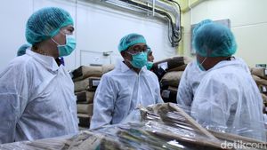 Ridwan Kamil Resmikan Pabrik Cokelat di Sumedang