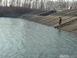 Air Embung Krikilan Pasuruan Menyusut 3 Meter, Tak Bisa Dipakai Irigasi