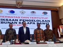 Sederet PR Jokowi Bereskan Tata Kelola Sawit