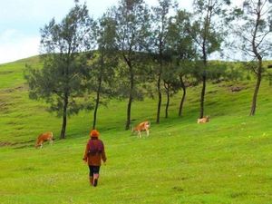 Siapa Sangka, Pemandangan Seindah Ini Ada di Timor Tengah Selatan