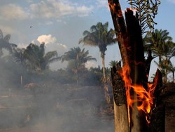 Dunia Kecam Brasil Tidak Serius Tangani Kebakaran Hutan Amazon