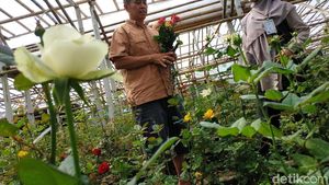 Dukungan Untuk Pelaku Bisnis UMKM