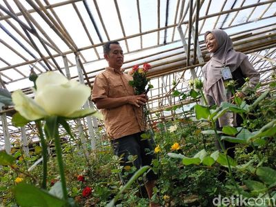 Dukungan Untuk Pelaku Bisnis UMKM