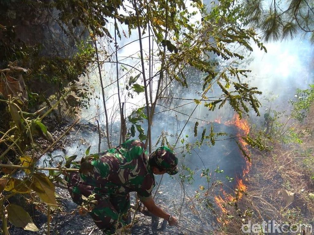 Kebakaran di Gunung Brojo Wonogiri Padam, Warga Waspadai Titik Api Baru Kebakaran di Gunung Brojo Wonogiri Padam, Warga Waspadai Titik Api Baru