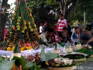 Gunungan Tumpeng Diarak Keliling Alun-Alun Jember Gunungan Tumpeng Diarak Keliling Alun-Alun Jember
