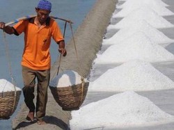 Curhat ke Susi Garam Tak Laku, Petani Madura Coba Ekspor ke Singapura