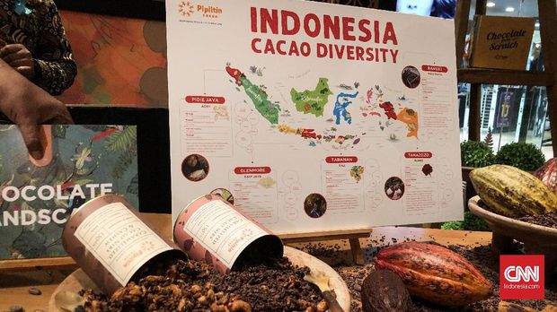 Ransiki, Cokelat Persaudaraan dari Tanah Papua
