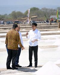 Ini 6 Daerah Penghasil Garam Terbesar, Jokowi : NTT Punya Garam Berkualitas Bagus