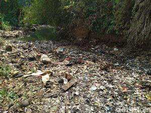 Pembersihan Pulau Sampah di Kalibaru Bogor Terkendala Alat Berat