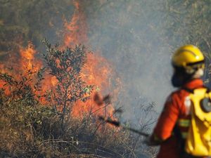 Presiden Prancis Serukan Kebakaran Amazon Dibahas di KTT G7, Brasil Marah