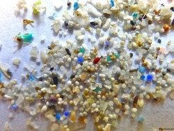 Duh! Mikroplastik Sudah Ditemukan di Otak Manusia