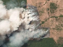 Hutan Tropis Amazon Terbakar Hebat, Seberapa Parah Keadaannya?