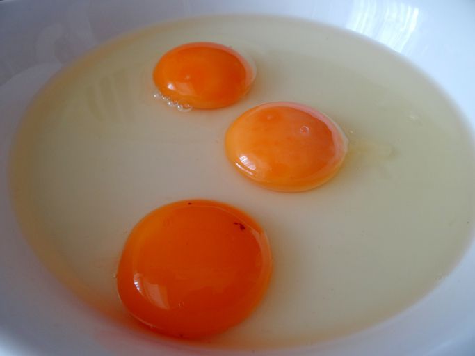 warna kuning telur