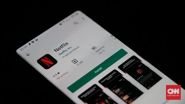 Penggunaan Netflix di Indonesia