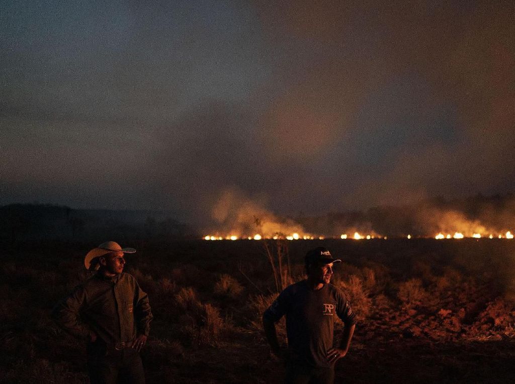 Ngeri! Kebakaran Hutan di Dunia Diprediksi Bakal Makin Ekstrem