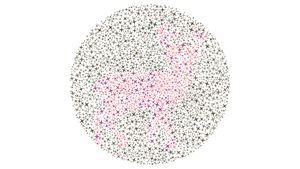 Tebak Siluet Hewan Asli Indonesia Ini, Bisa Semua Tandanya Mata Sehat