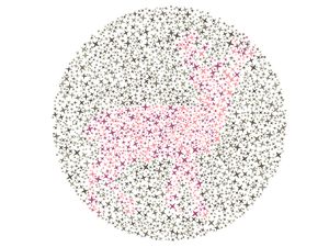 Tebak Siluet Hewan Asli Indonesia Ini, Bisa Semua Tandanya Mata Sehat