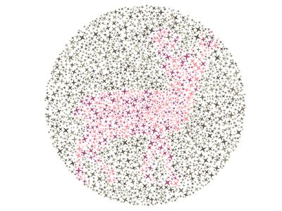 Tebak Siluet Hewan Asli Indonesia Ini, Bisa Semua Tandanya Mata Sehat