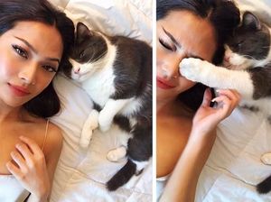 Beda Banget! Foto Realita Vs Khayalan Para Netizen di Media Sosial