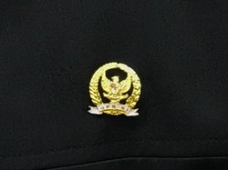 Lulung Akan Terima Pin Emas: Apresiasi Negara ke Anggota Dewan