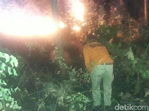 Hutan Dekat Jalur Pantura Pasir Putih Situbondo Terbakar