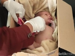 Bayi Laki-laki Ditemukan dalam Kardus di Pekarangan Warga Jember