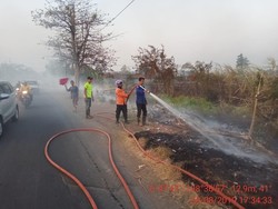 Lahan Ilalang Terbakar di Dekat Tol Kanci Cirebon
