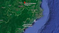 Penampakan Ibu Kota Baru Dilihat dari Google Maps