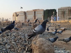 Mengenal Sejarah Puasa dan Ibadah Ramadhan Pertama Kali di Dunia