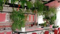 Duh, Kocaknya! 15 Desain Dapur Ini Ngaco Abis