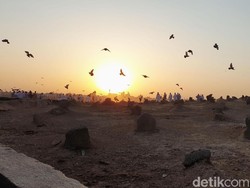 5 Tempat Ziarah Umat Islam di Kota Madinah, Sering Dikunjungi Muslim