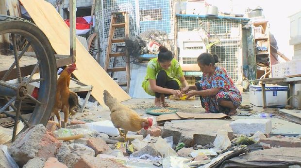 Bunga Jelitha kasih makan ayam